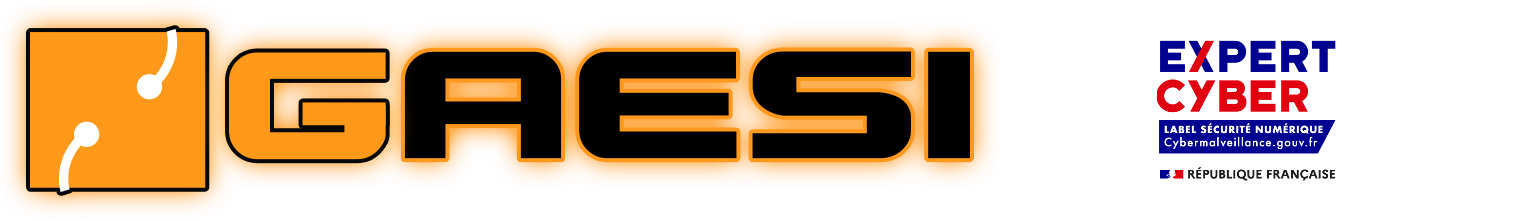 Logo GAESI (HQ)